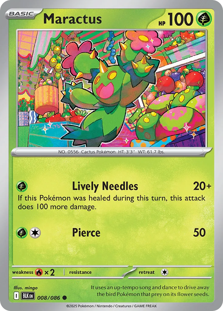 Maractus Common